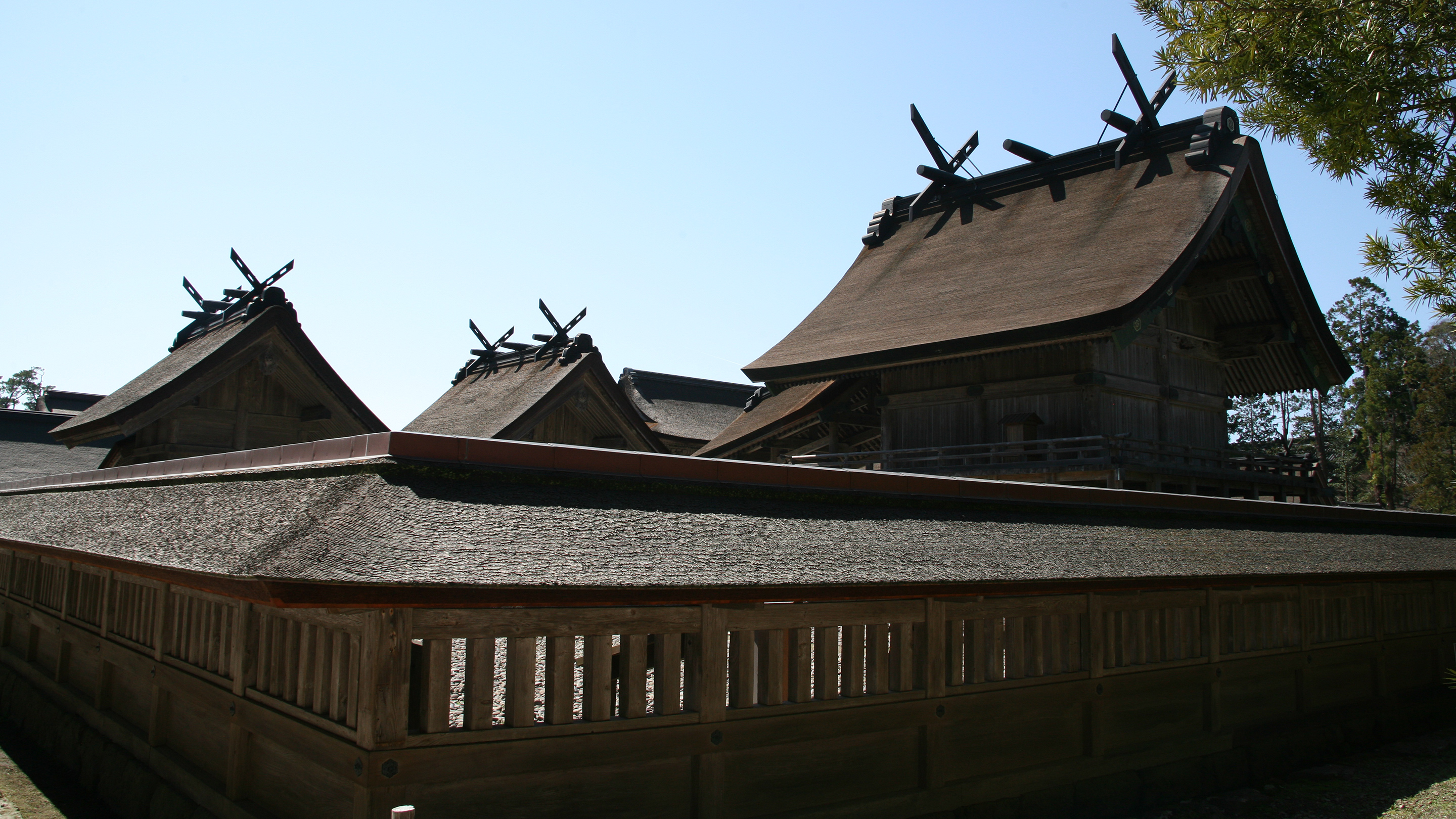 本殿（国宝）は「大社造り」と呼ばれるわが国最古の神社建築様式。棟に千木（ちぎ）と勝男木（かつおぎ）を載せている