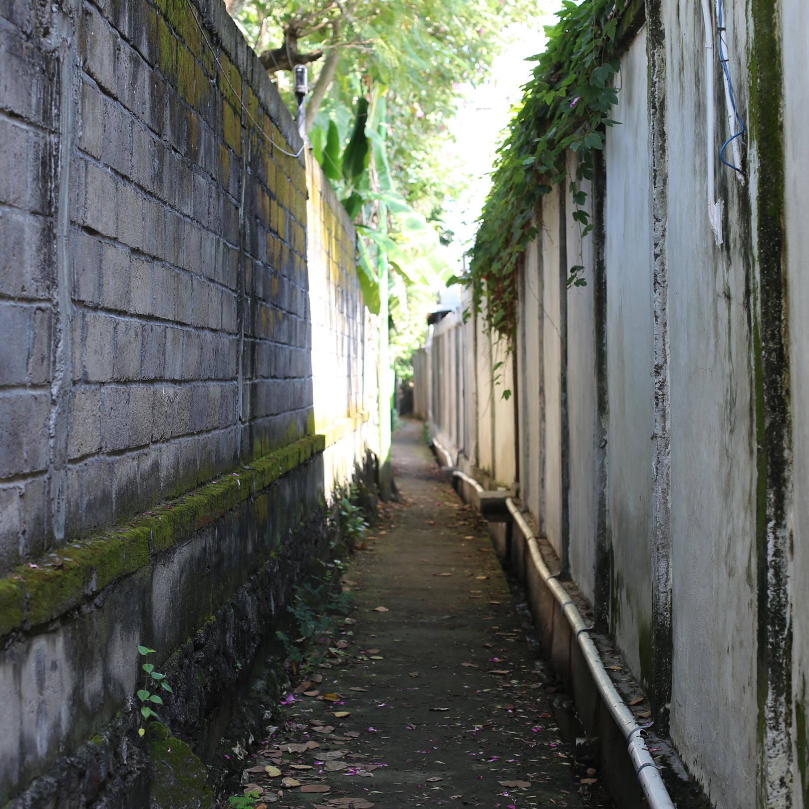 ビーチまで案内をたどって進むと、裏路地のような小道を延々と進むこともある。