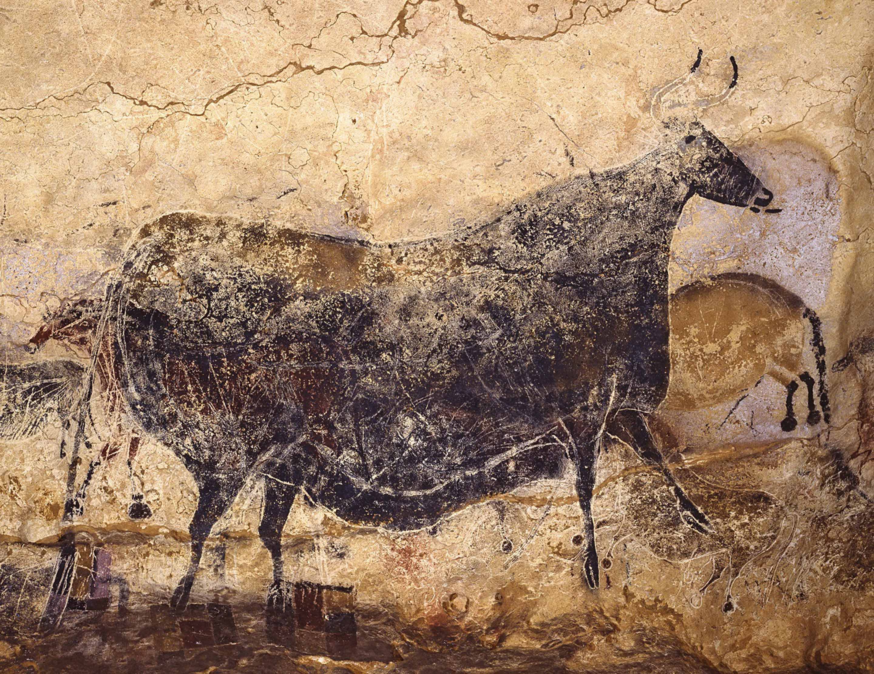 2メートルの巨大な「黒い牝ウシ」が実物大で再現されている。 © SPL Lascaux international exhibition