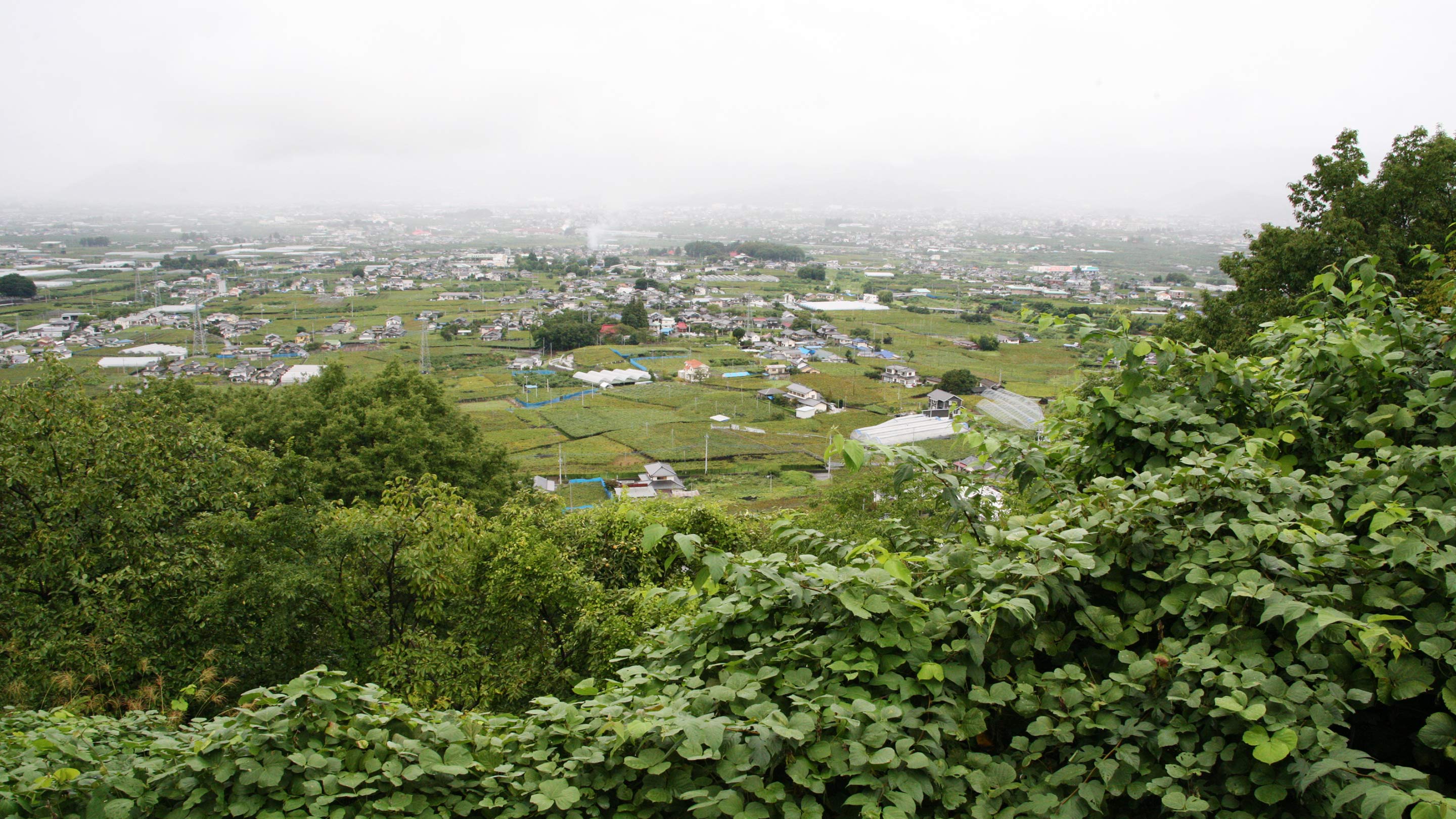 西側は広々とした農園が広がる扇状地。当日はあいにくの天気だったが、晴れた日には笛吹川を隔てて甲府の山並みを望むことができる。