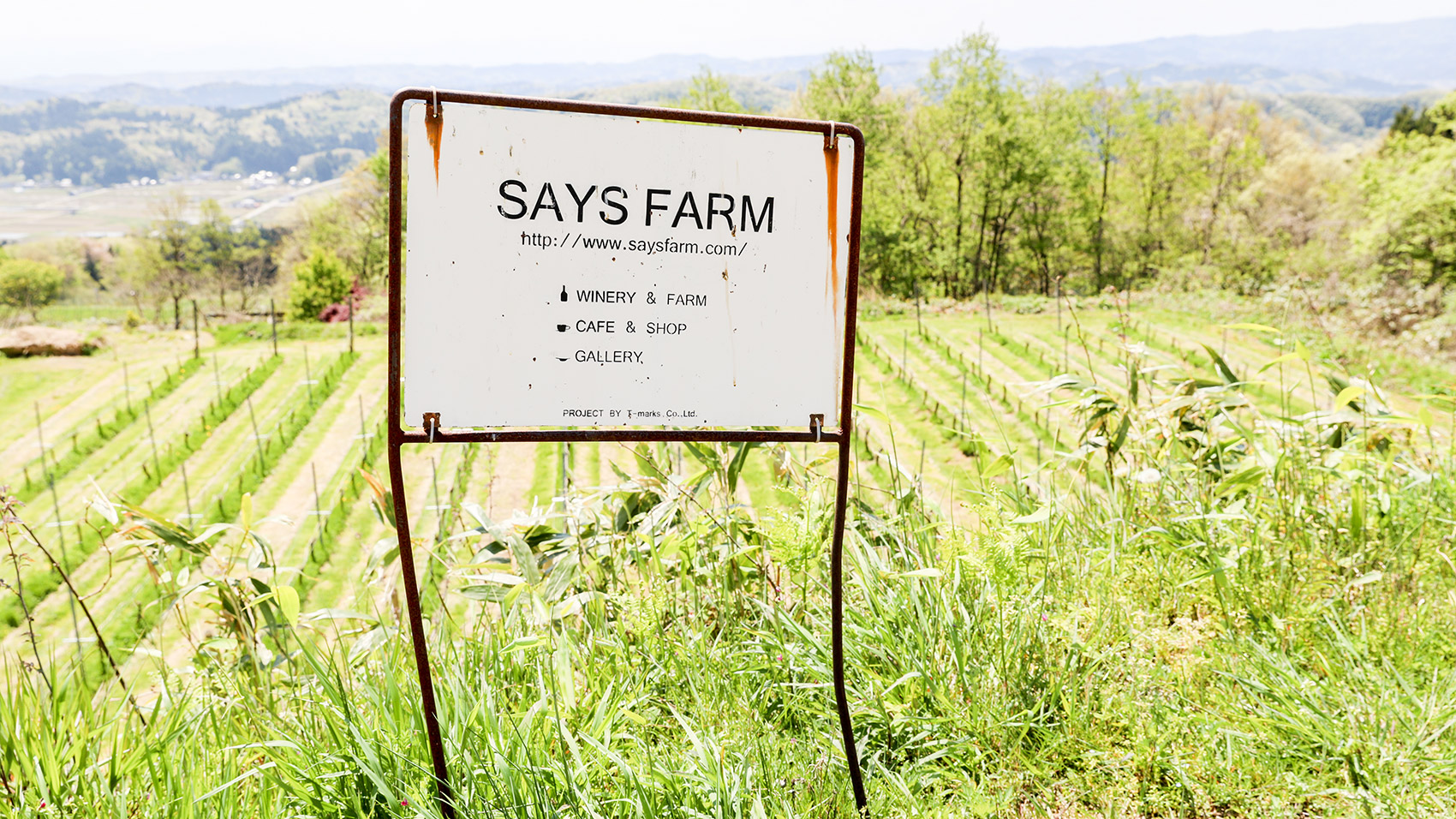 SAYSFARM BLANC DE BLANCS 2016 セイズファーム限定 SAYSFARM BLANC DE BLANCS 2016 セイズファーム限定